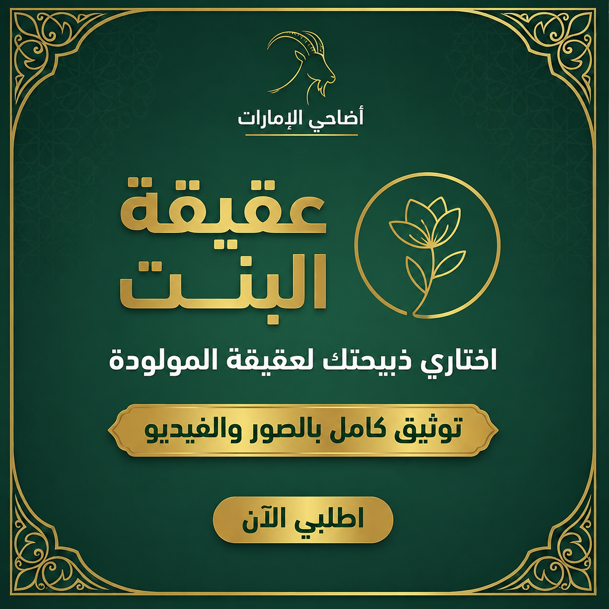 عقيقة بنت