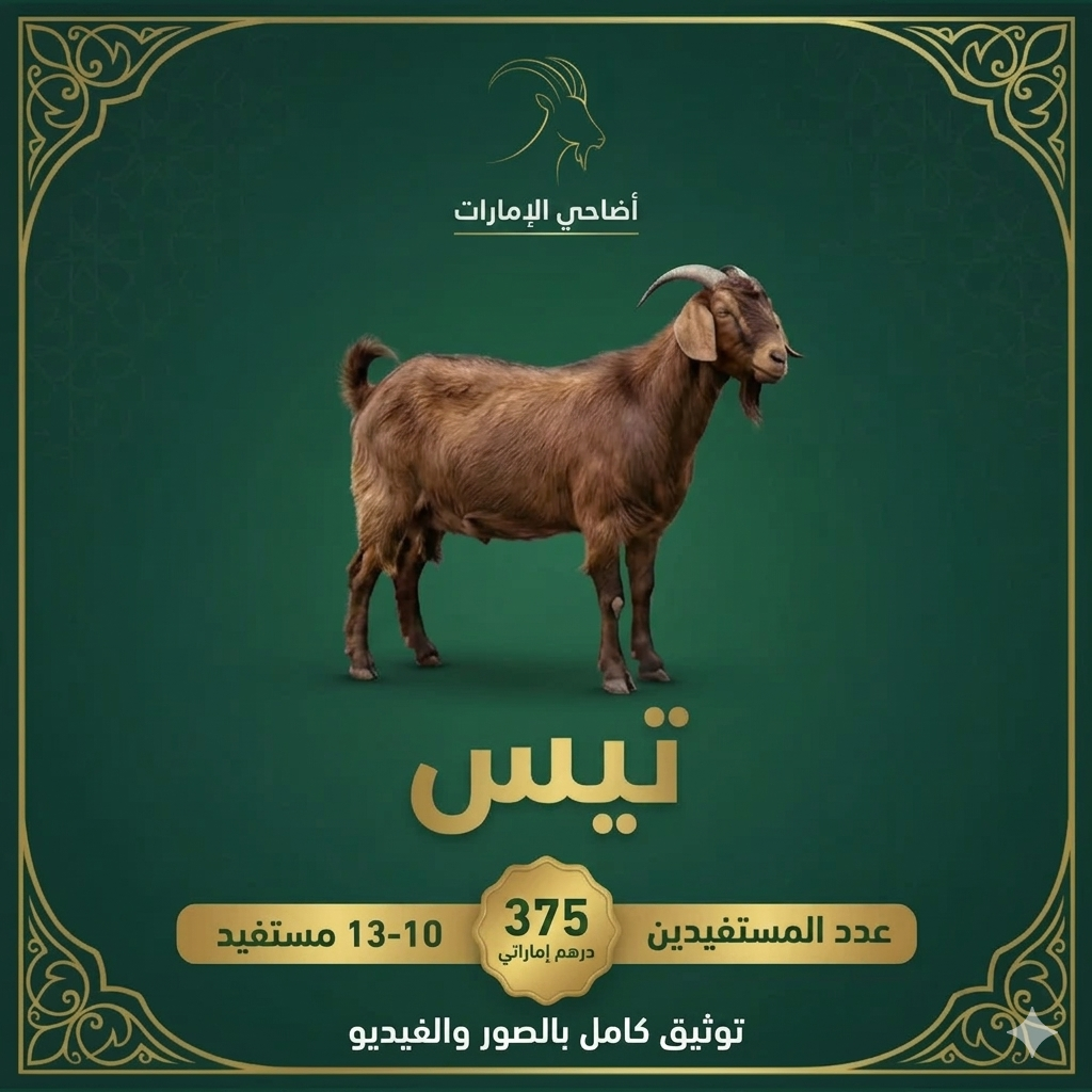 تيس / ماعز